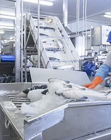 Cold chain industry solutions